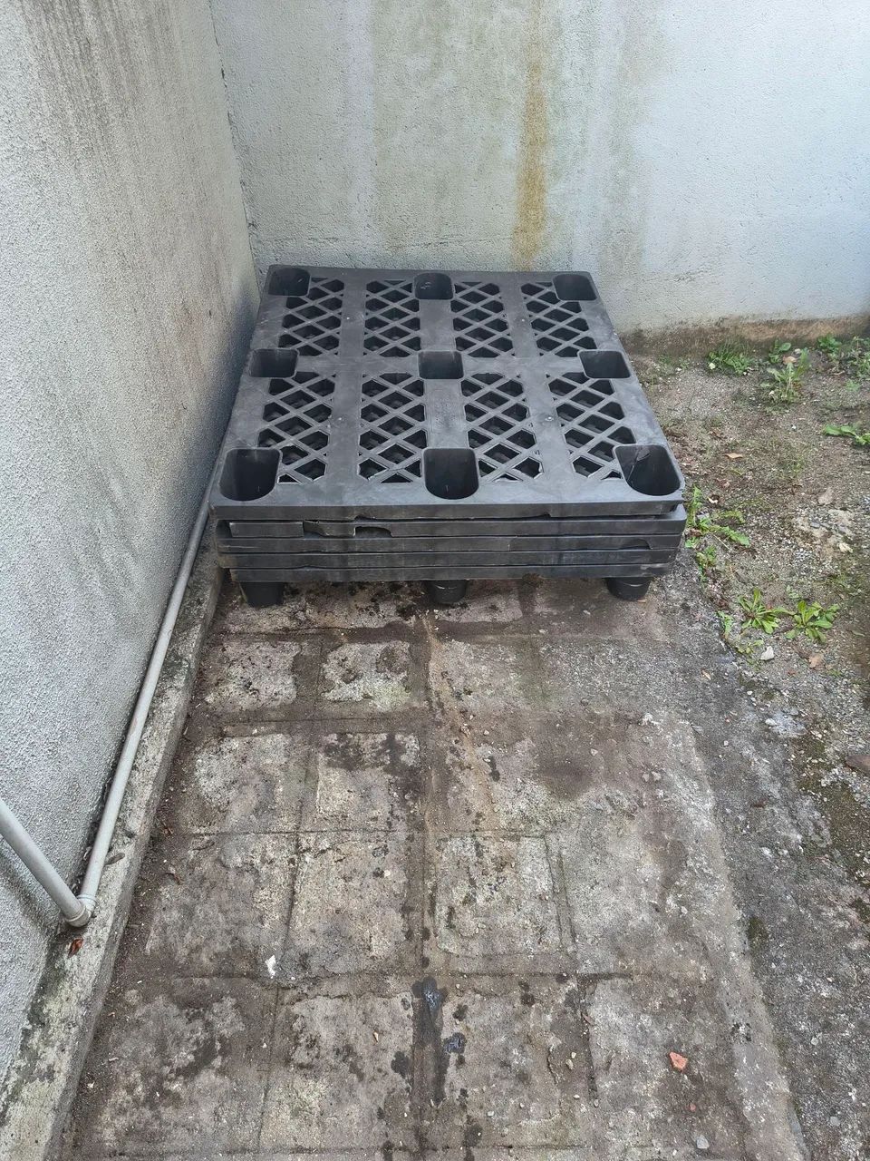 Paletes plásticos 
