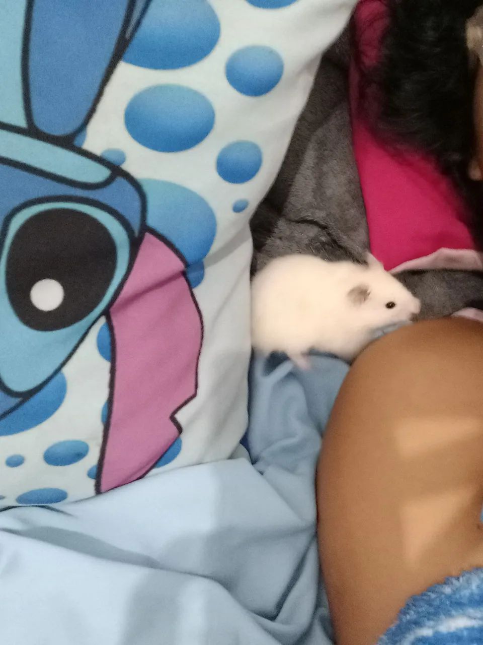 Gaiola +Hamster 100 - Foto 4