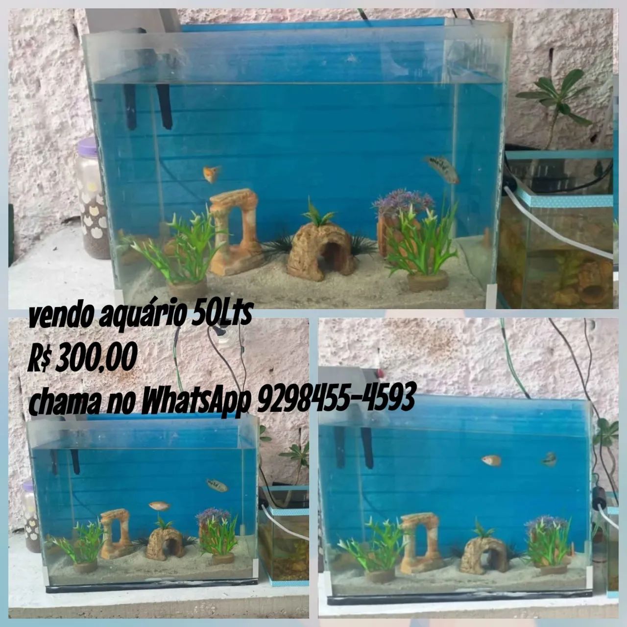 Aquário 50Lts  - Foto 4