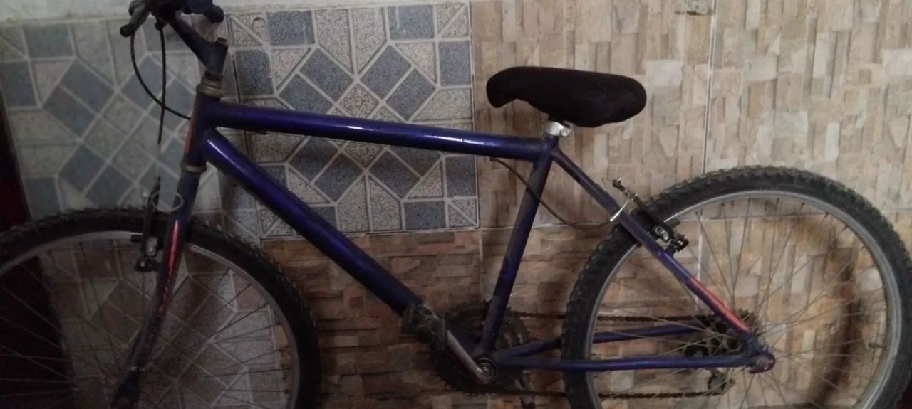 Bicicleta  - Foto 2
