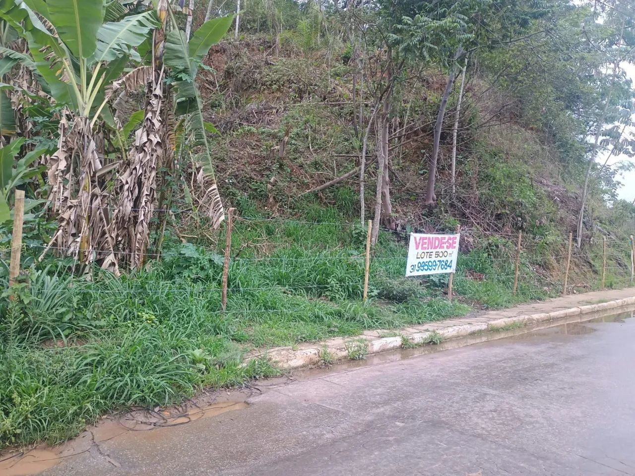 Foto - Rio Acima - 