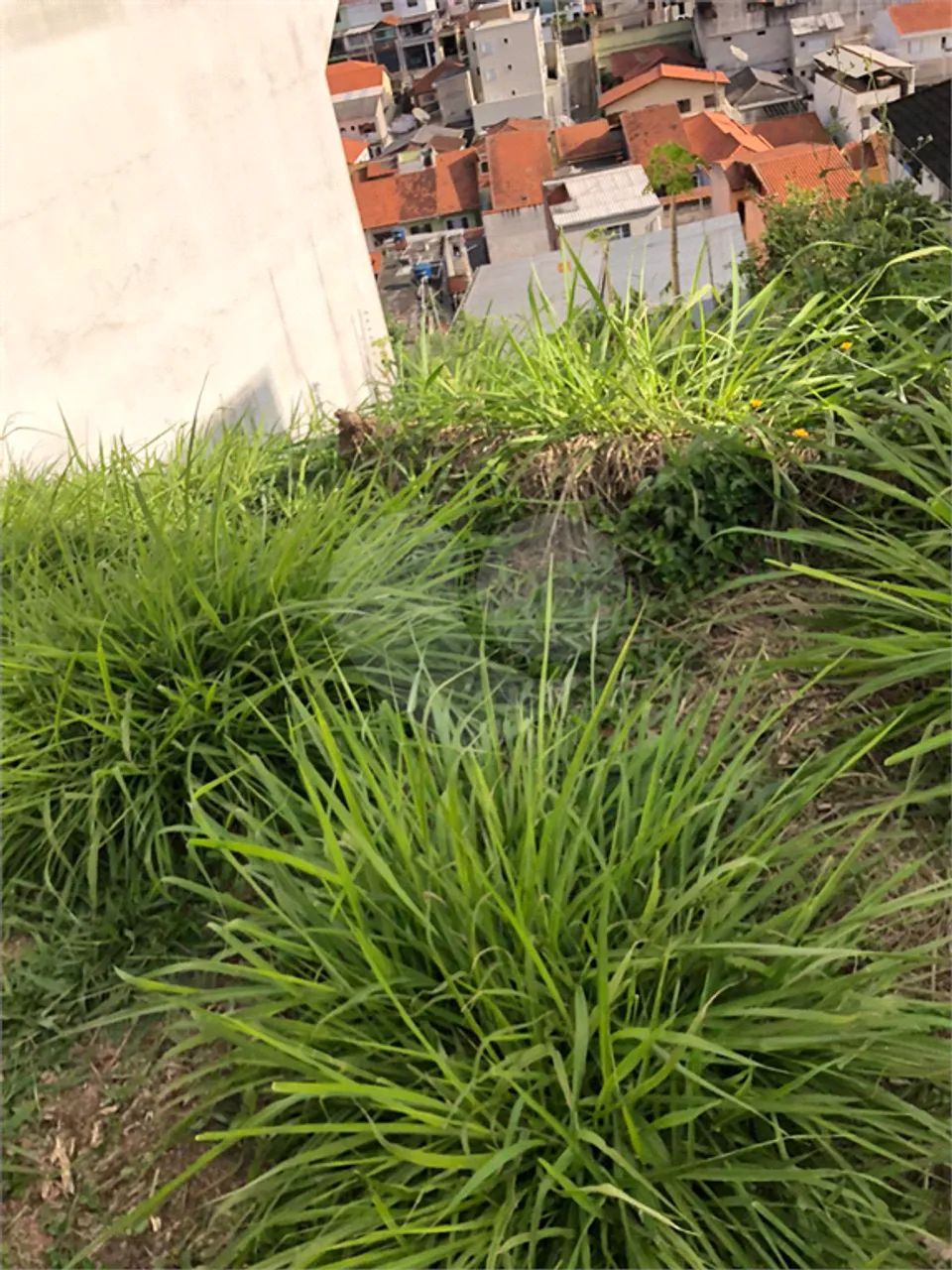 Terreno à venda em Horto florestal - SP - Foto 3