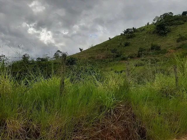 PROPRIEDADE 22 ALQUEIRES  IMBÉ BRINCO - Foto 5