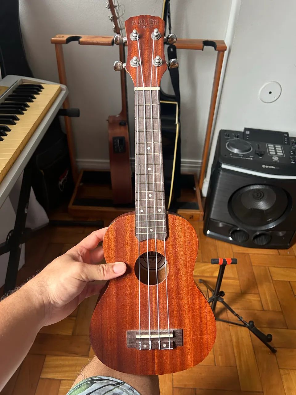 Ukulele 