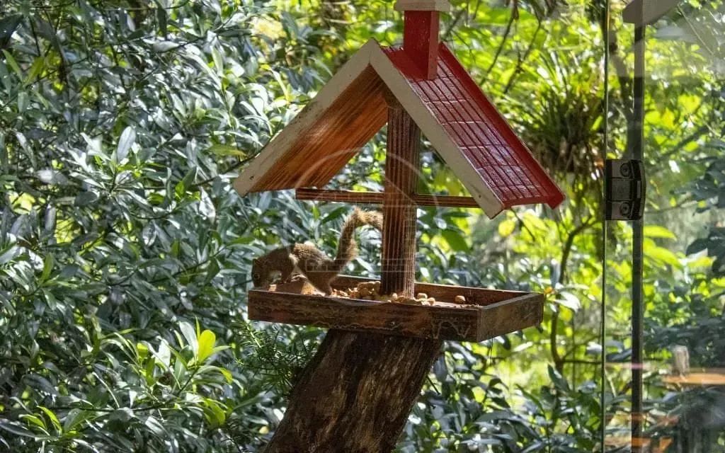Pousada com 8 quartos à venda em Campos do Jordão/SP - Foto 4