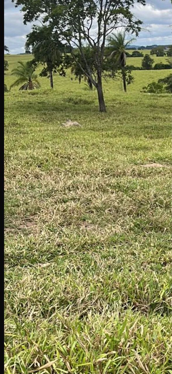 Fazenda próximo a pato de minas 
