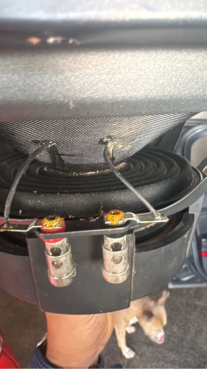 Sub woofer  focal  - Foto 3