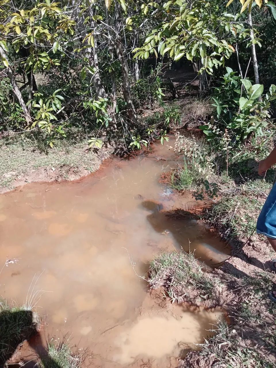Lote 2000 MTS 5,000 São José de Almeida  - Foto 7