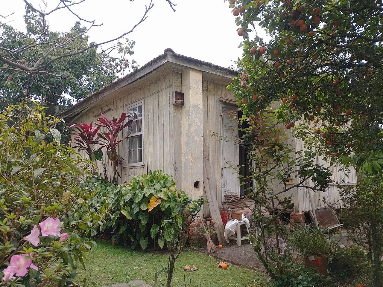 Terreno com casa de madeira em construção 