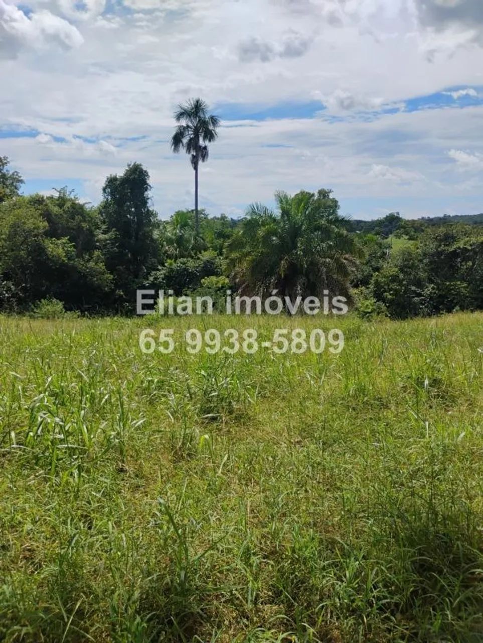 Oportunidade! Chácara de 52,6 Hectares à Venda - Foto 2