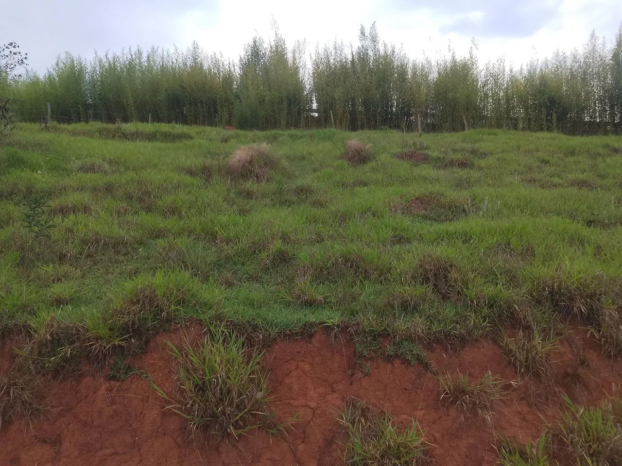 Vendo excelente terreno em Cunha sp 