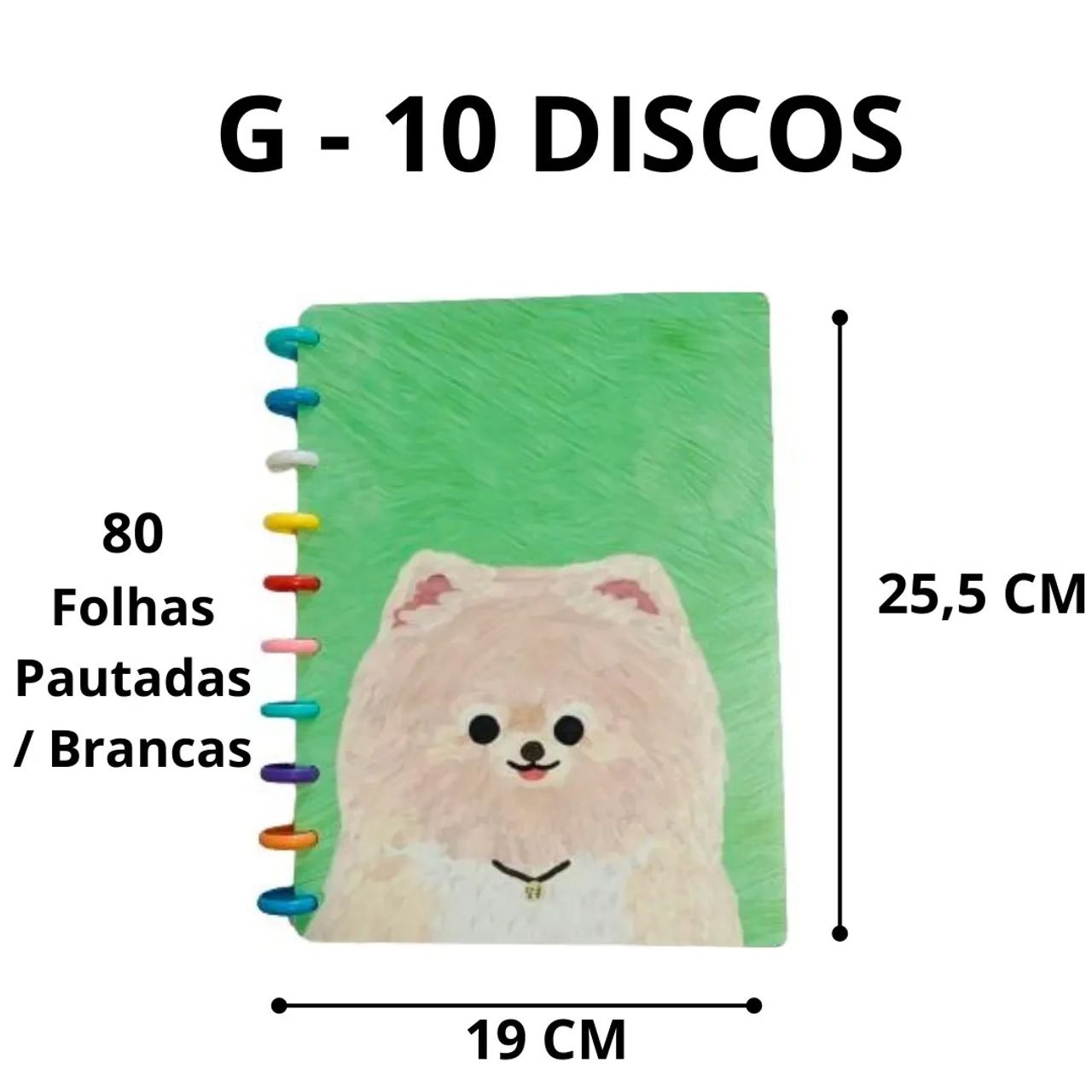 Cadernos NOVOS com 8 ou 10 discos - caderno inteligente 