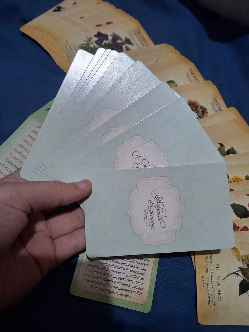 Oráculo Botanical Inspirations Botânico Baralho Cigano Tarot Taro - Foto 3