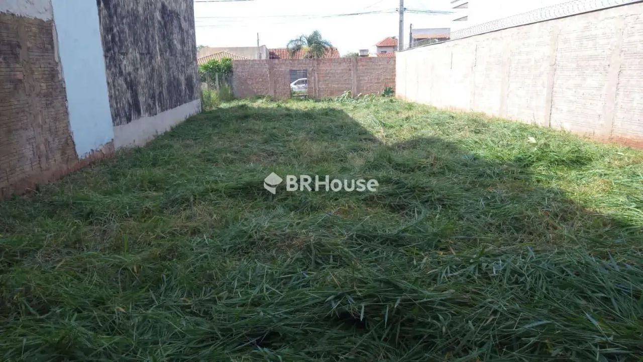 Pioneiros | Lote - Foto 5