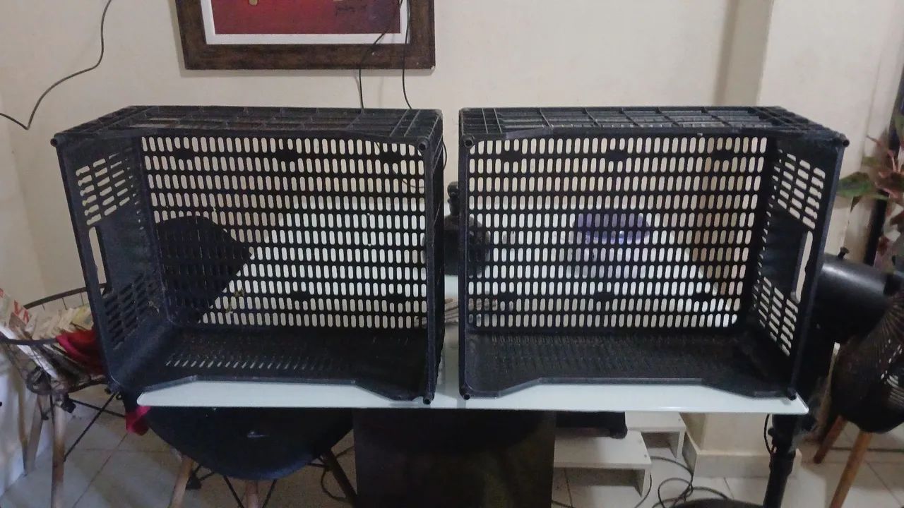 Cesto de repositor - Foto 5
