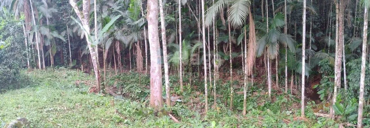 Terreno à venda em São João Batista/SC - Foto 2