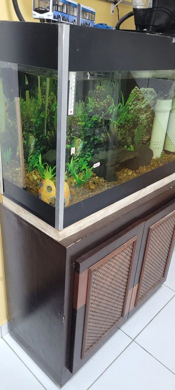 Aquário completo 180 litros