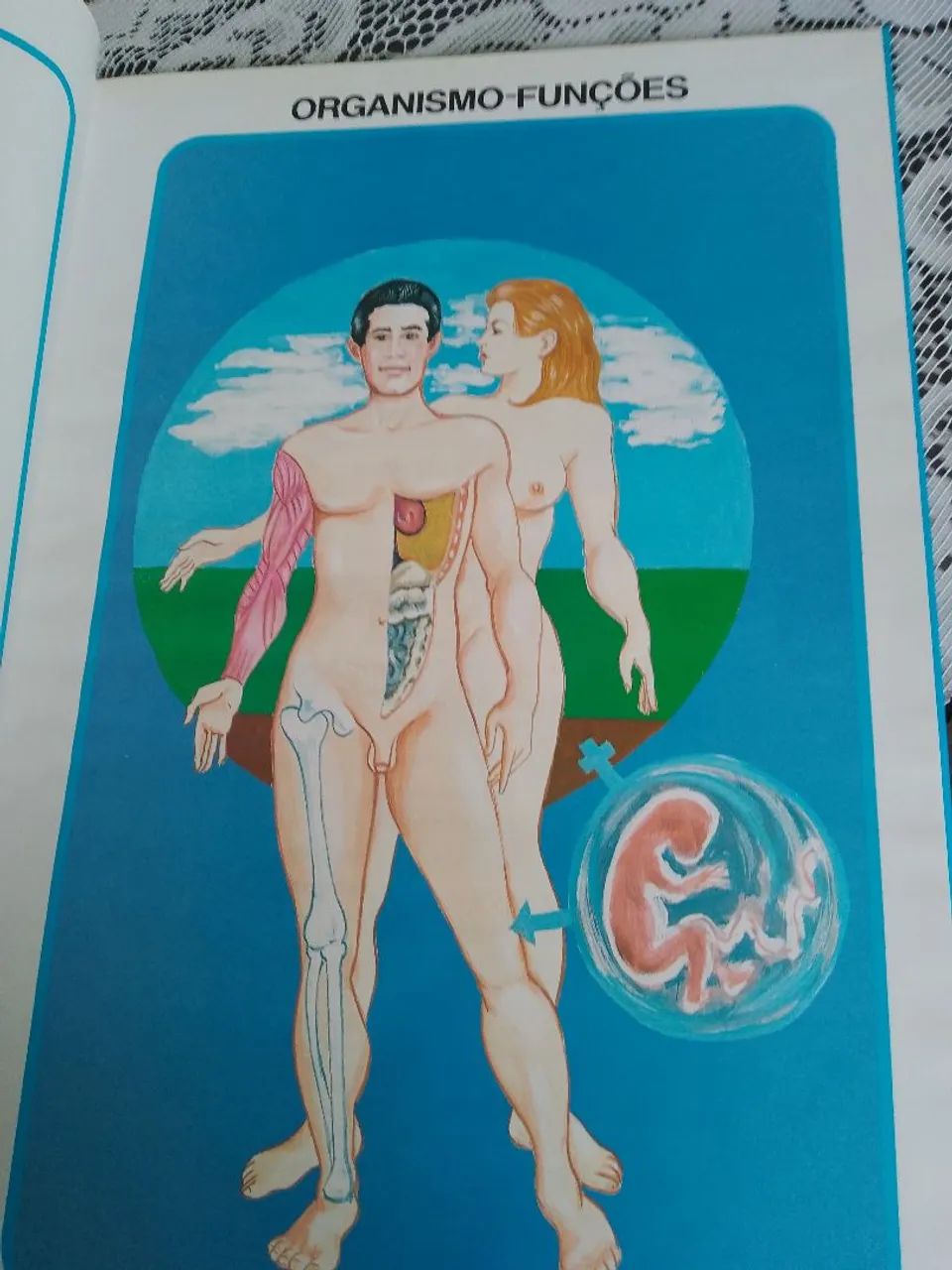 Atlas de anatomia  - Foto 2