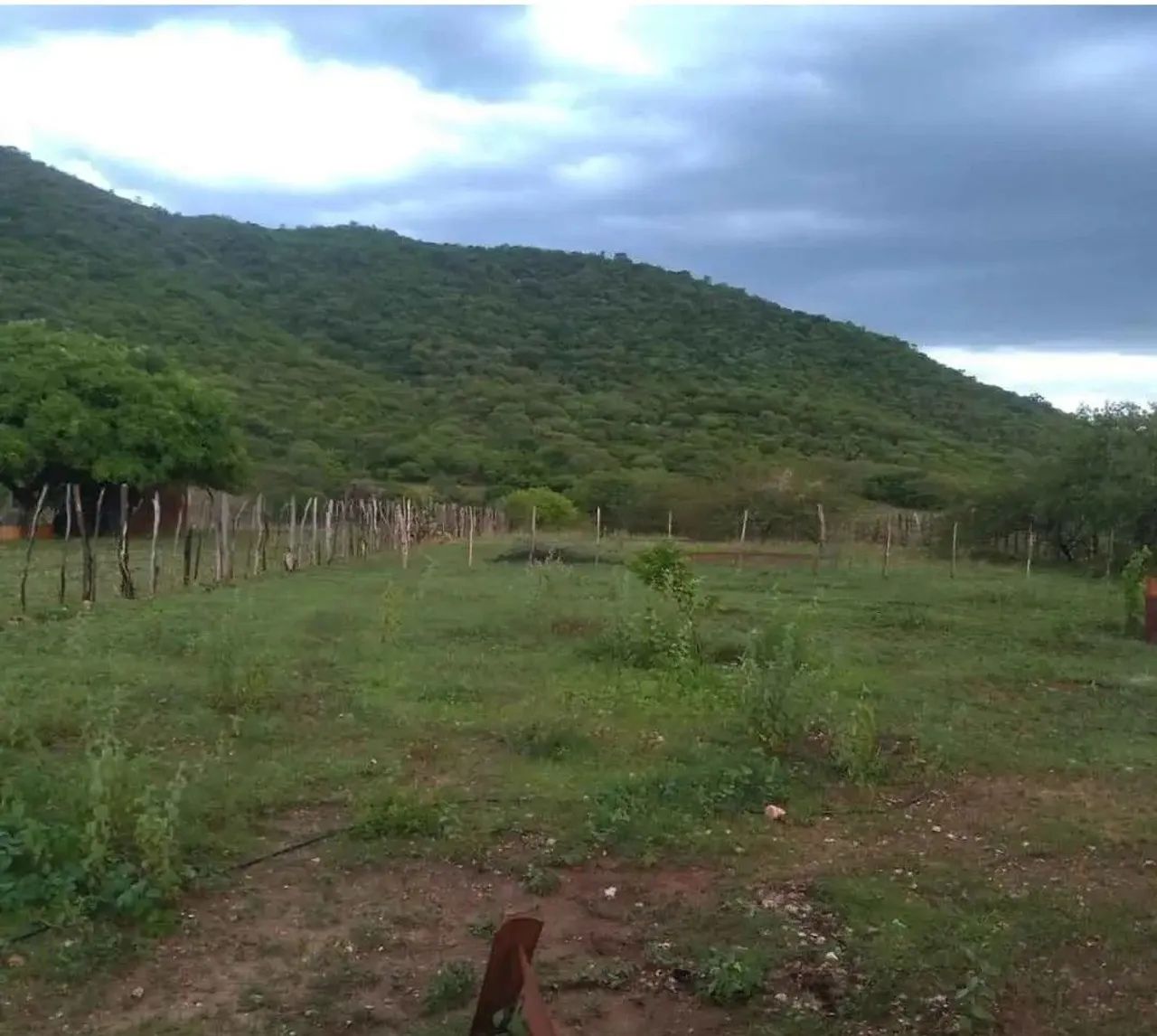 Sitio em São Vicente RN - Foto 4