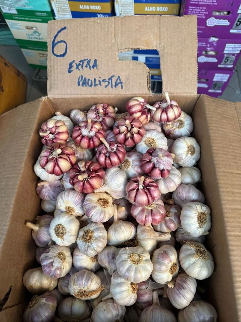 Caixas de alho roxo - Foto 2