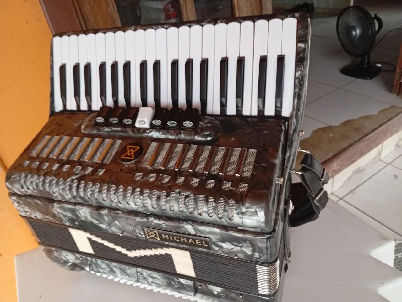 Acordeon  - Foto 2