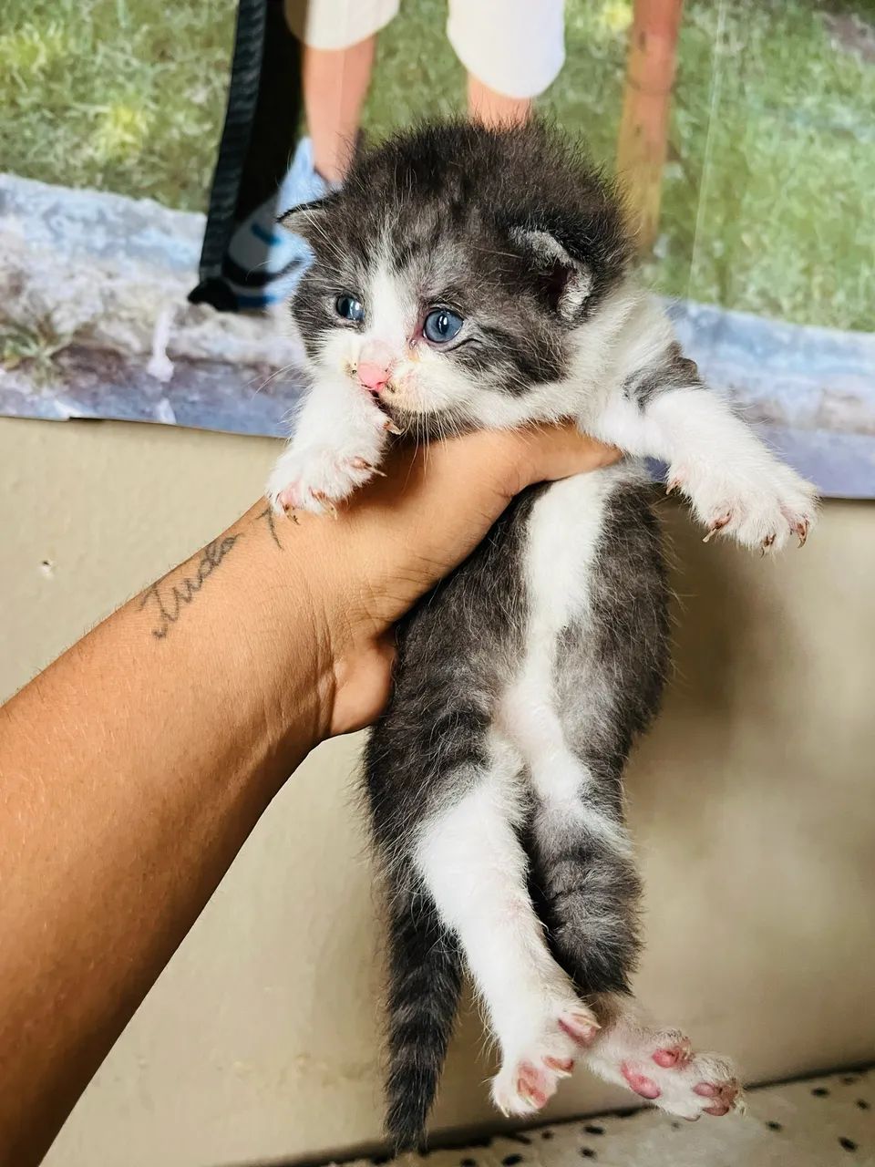 Vendo  - Foto 2