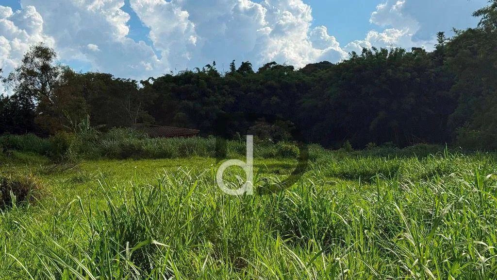 Terreno no Pinheiro a venda em Vinhedo/SP - Foto 4