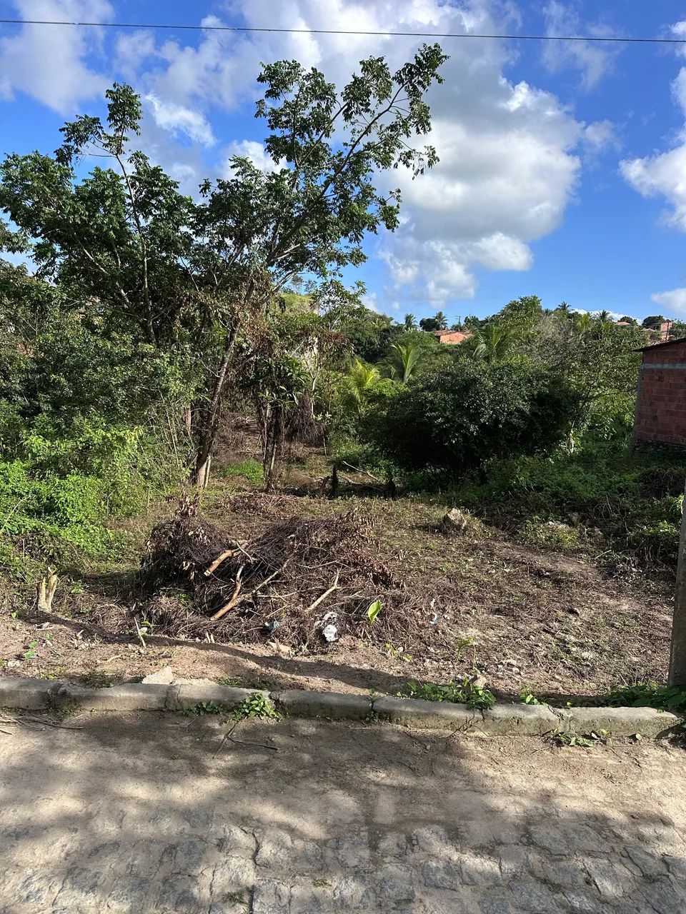 Terreno em laranjeiras  - Foto 2