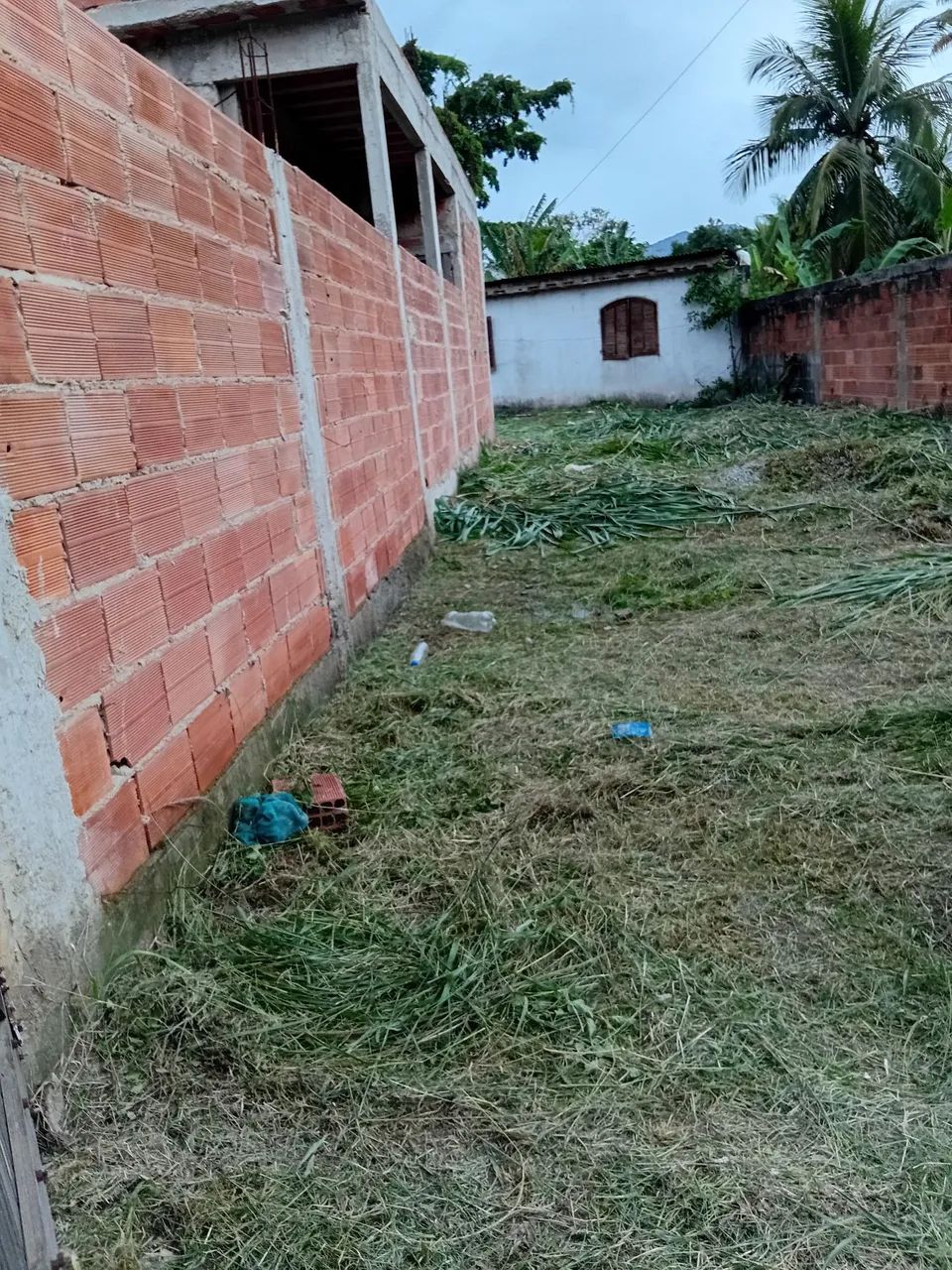 Foto - Saquarema - Madressilva (Bacaxá)