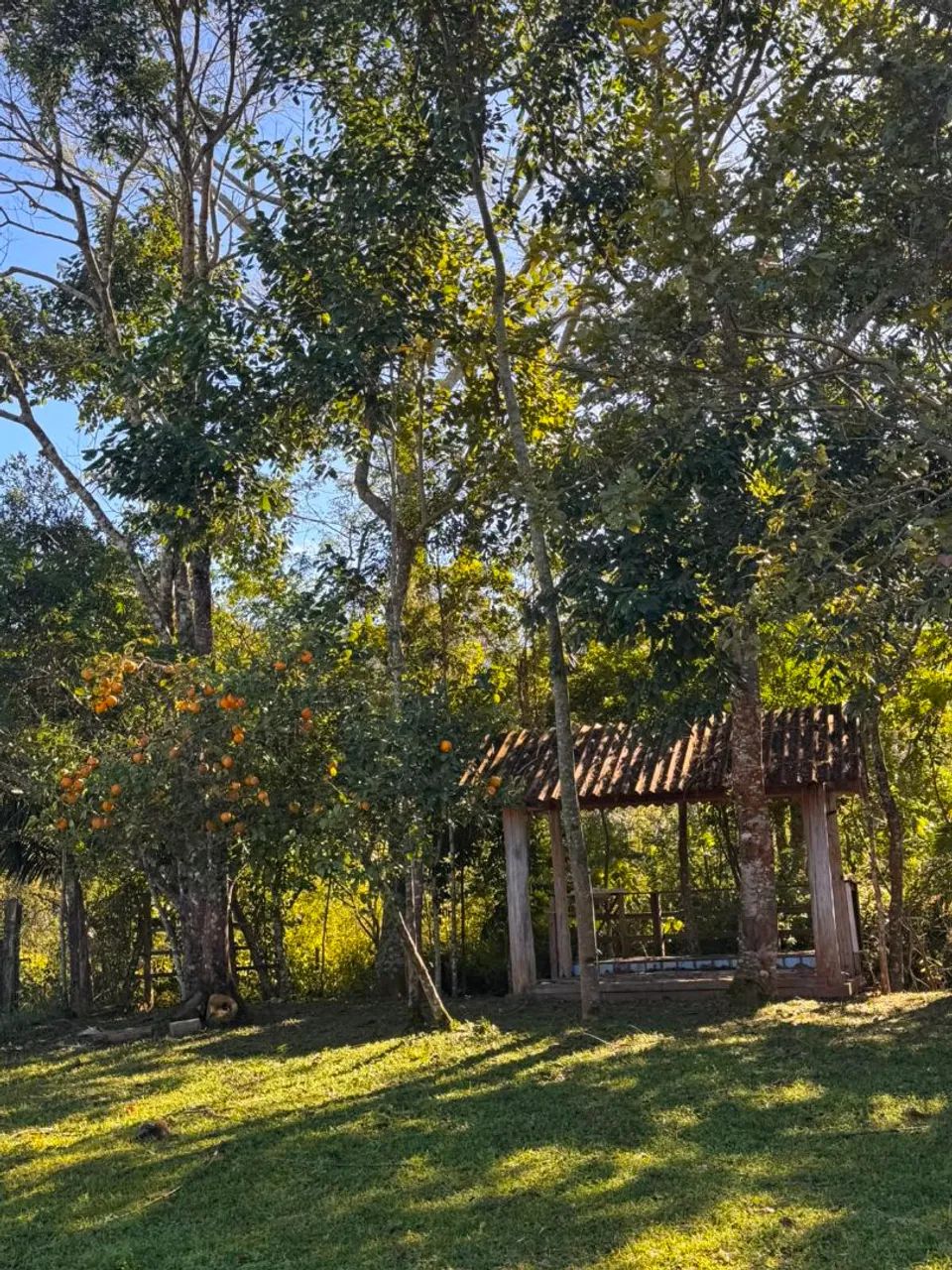  2  lotes no sertão do campo - Foto 4