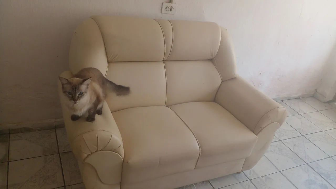 Sofá em bom estado 417563158197708802
