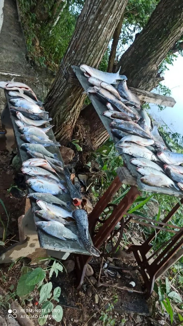RANCHO DE PESCA - Foto 4