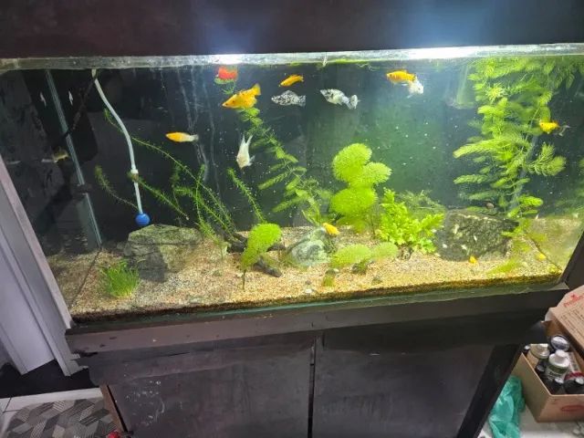 Aquário 200 litros com sump - Foto 2