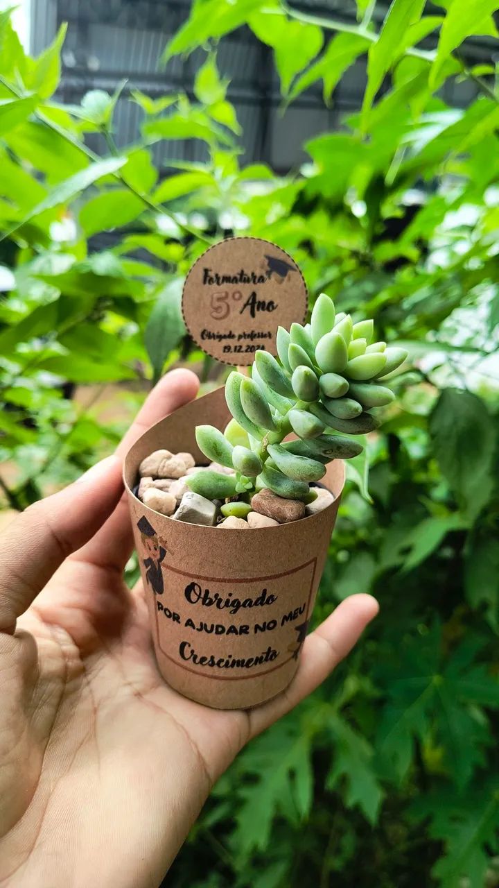 Lembrancinhas de cactos e suculentas  - Foto 5