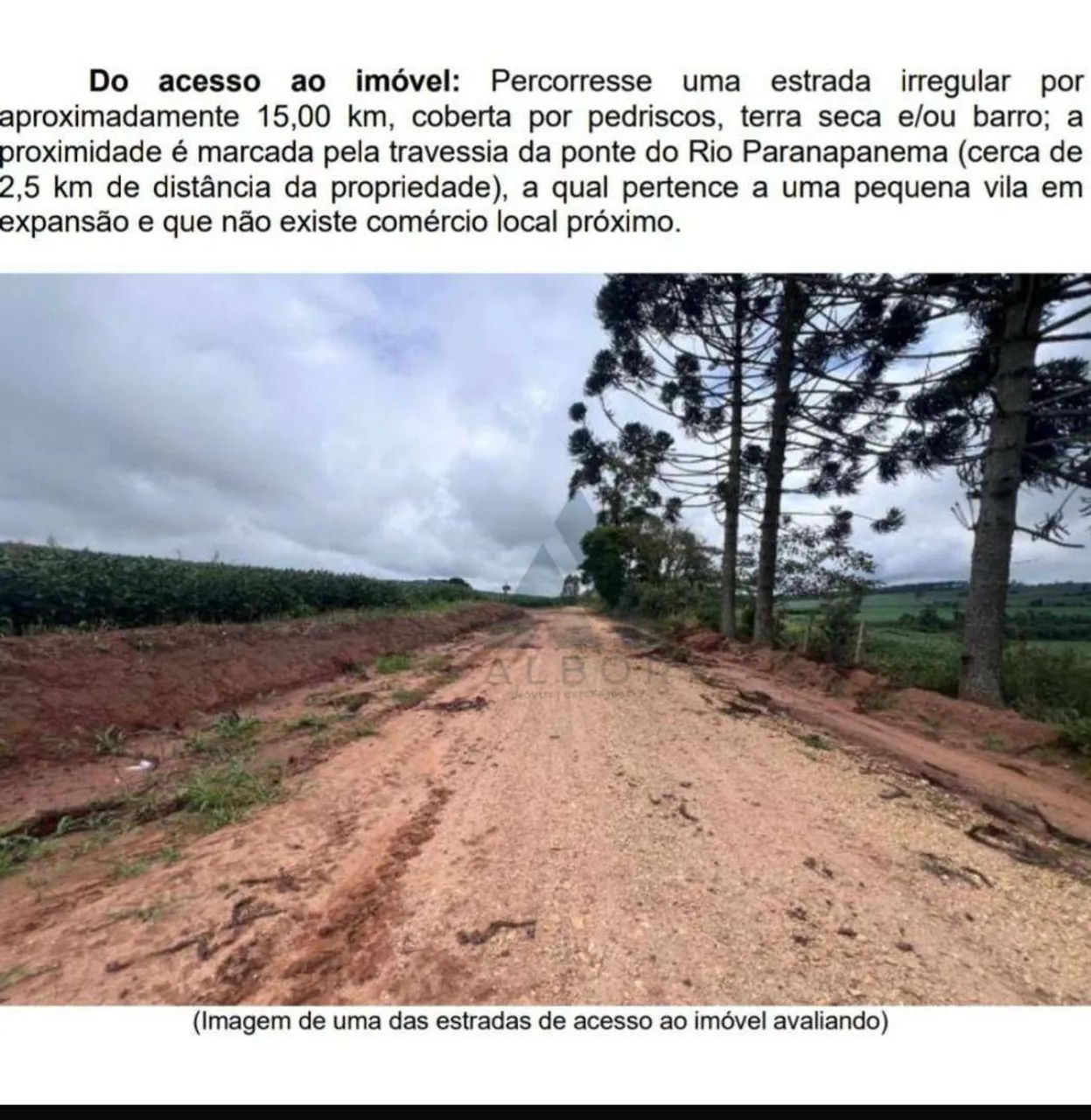 16 hectares em CAPÃO BONITO - Foto 3