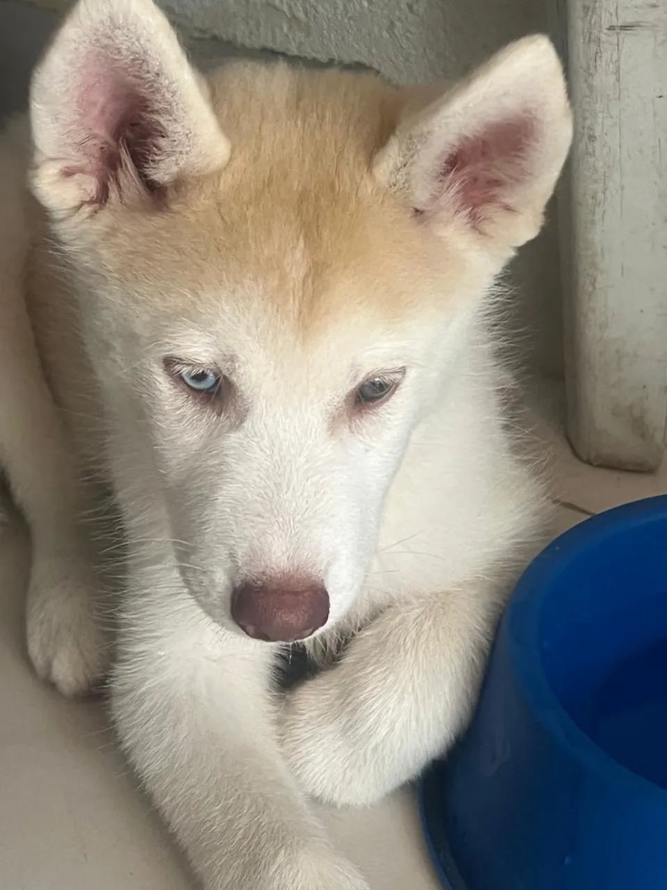 Vendo ! - Foto 2