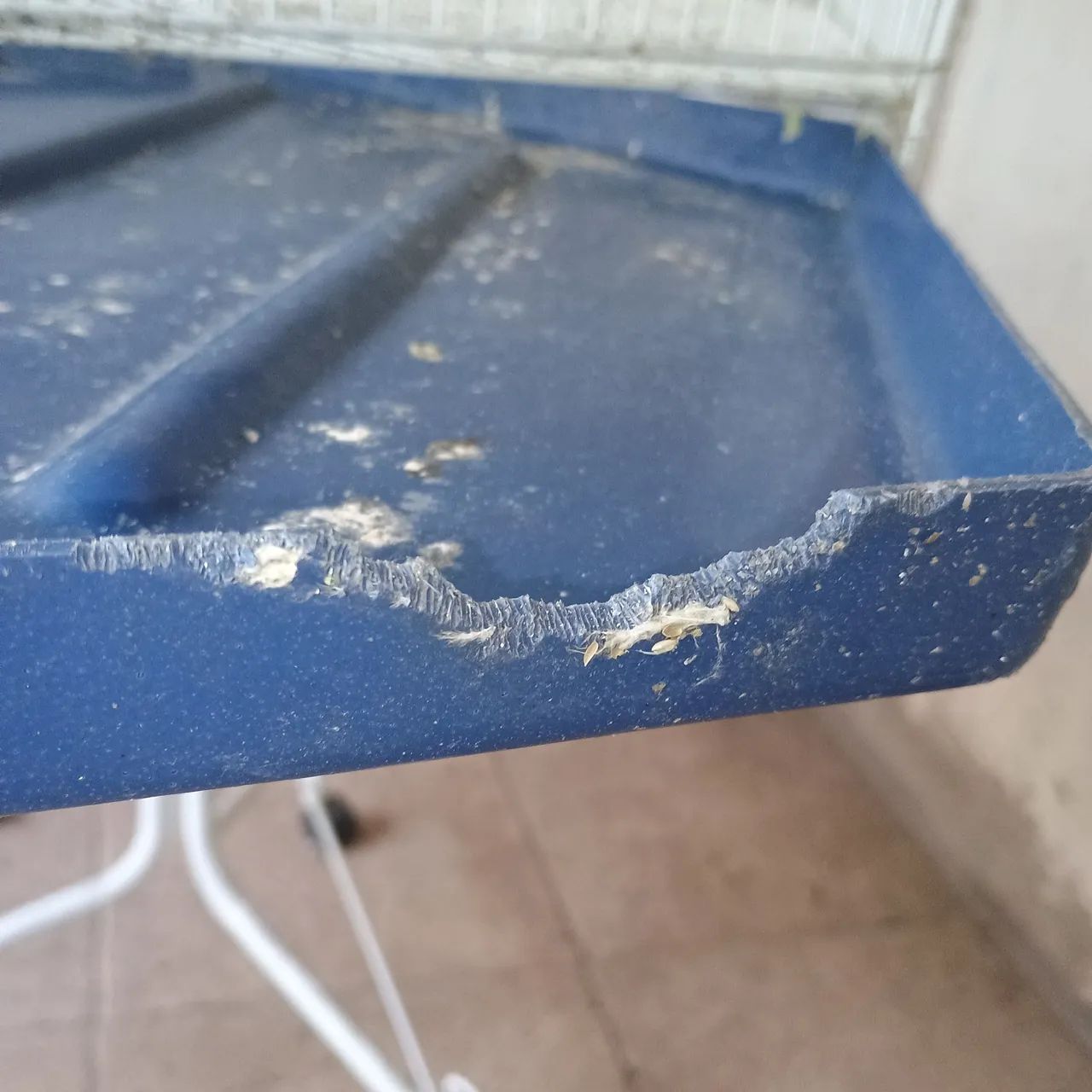 Viveiro sextavado para periquitos usado em ótimo estado  - Foto 3