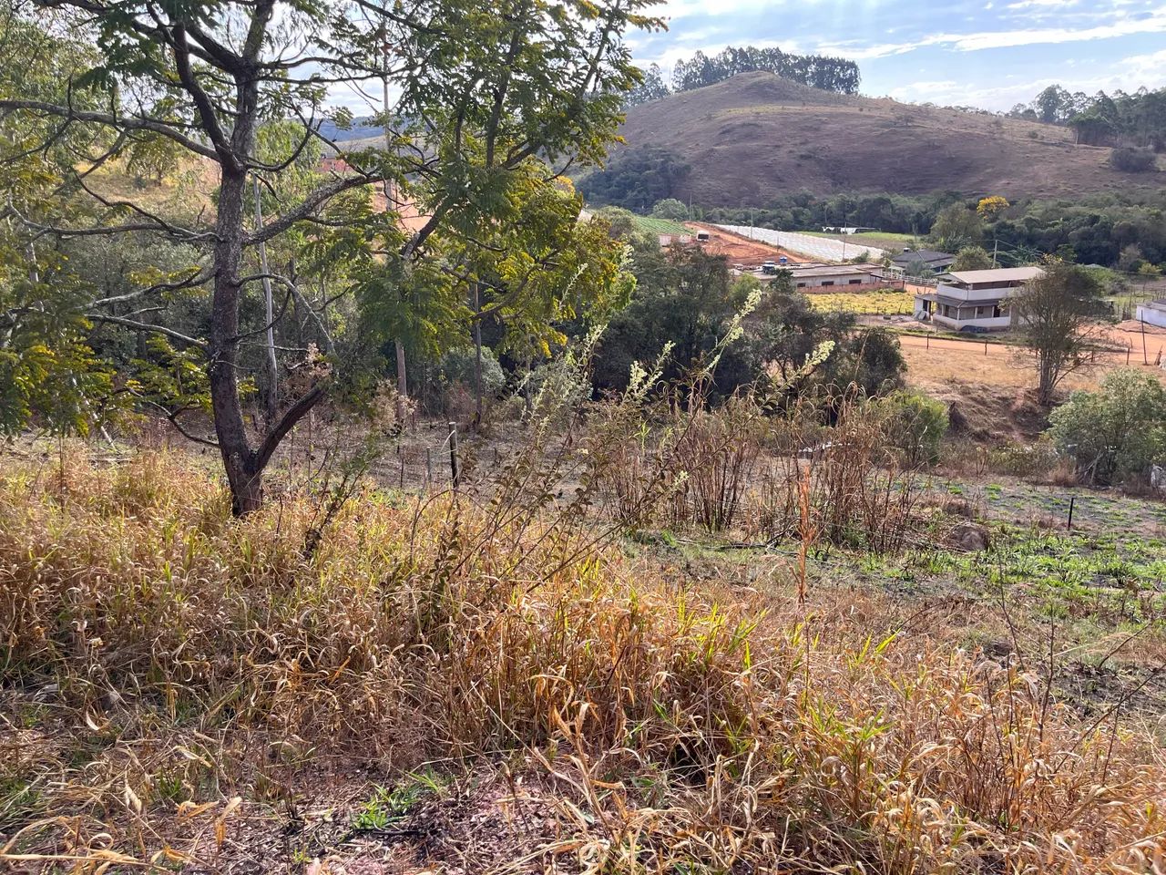Lote a venda em Alfredo Vasconcelos  - Foto 4