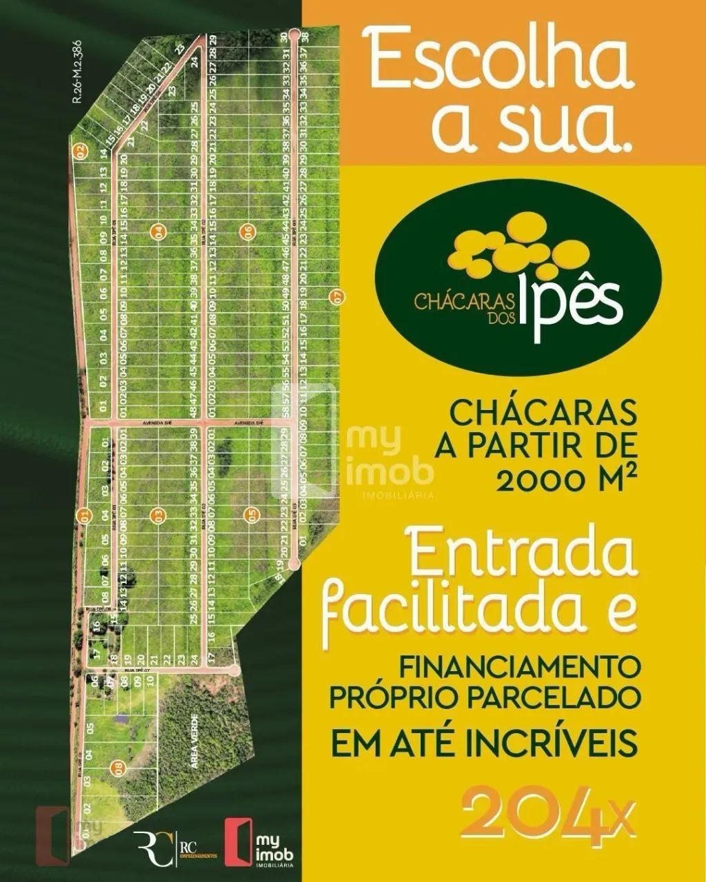 Chácara à venda próximo a Joanópolis - 20 min de Anápolis - PARCELADAS - Foto 4