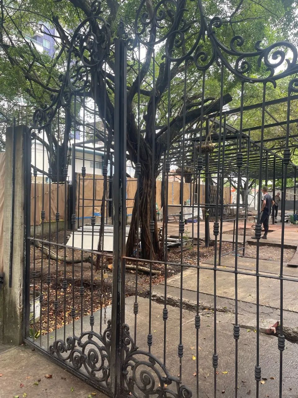 Portão de luxo - Foto 3