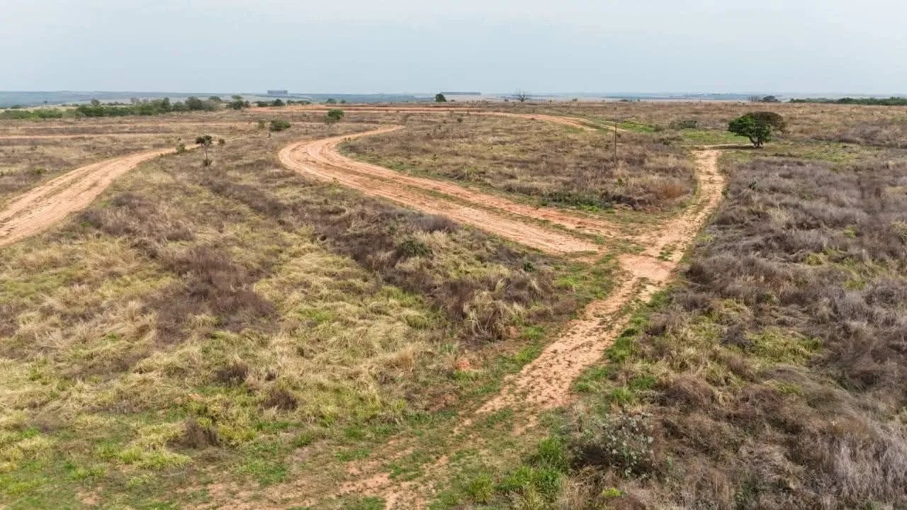 Fazenda de oportunidade  - Foto 5