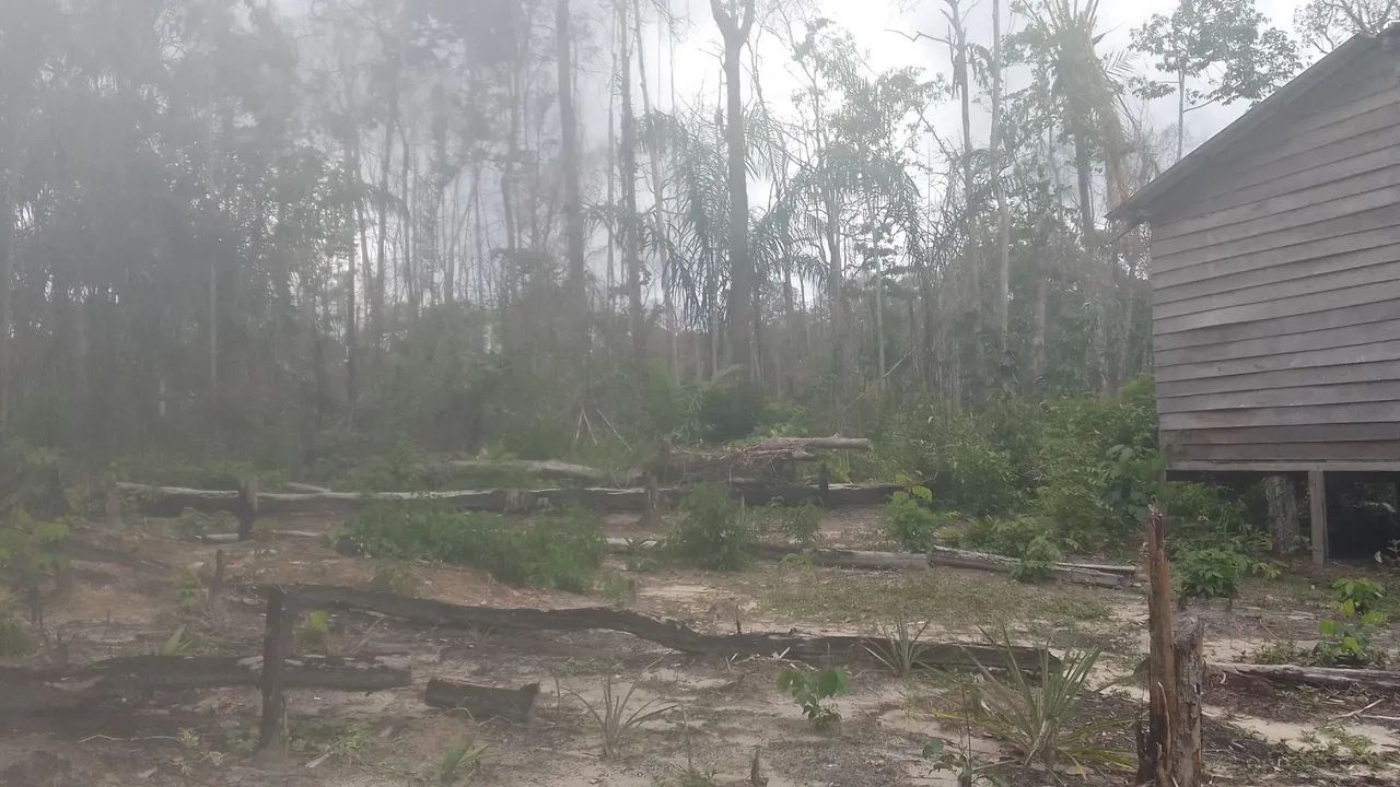 Sítio no Rio urubu  - Foto 5
