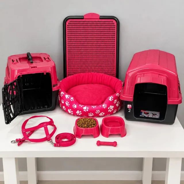 Kit Para Cachorro