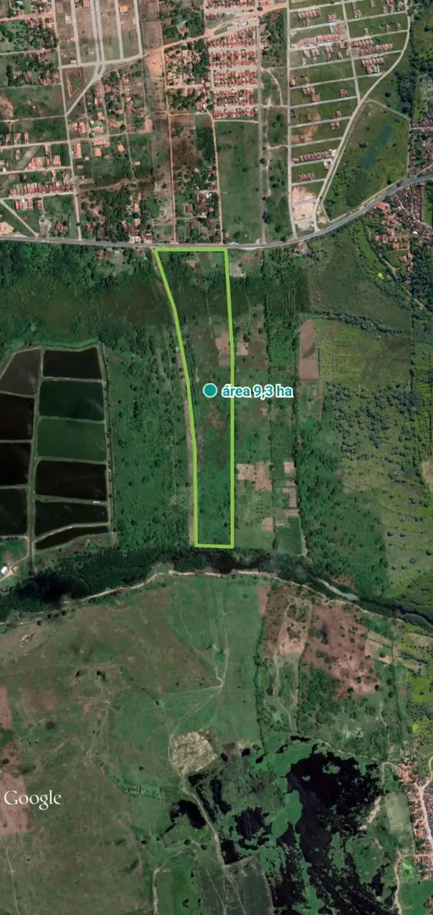 Área, Misto, TRIGUEIRO - 92.800m²