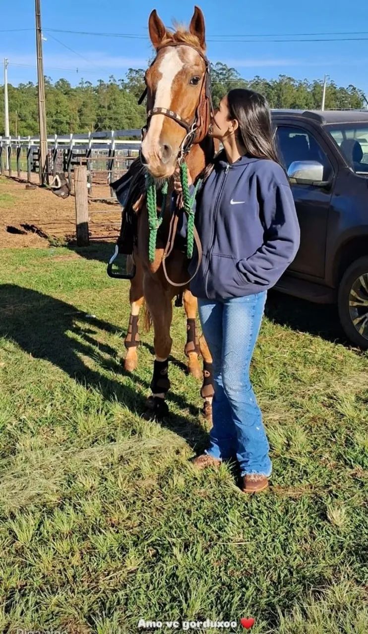 Cavalo Quarto de milha PO - Foto 4