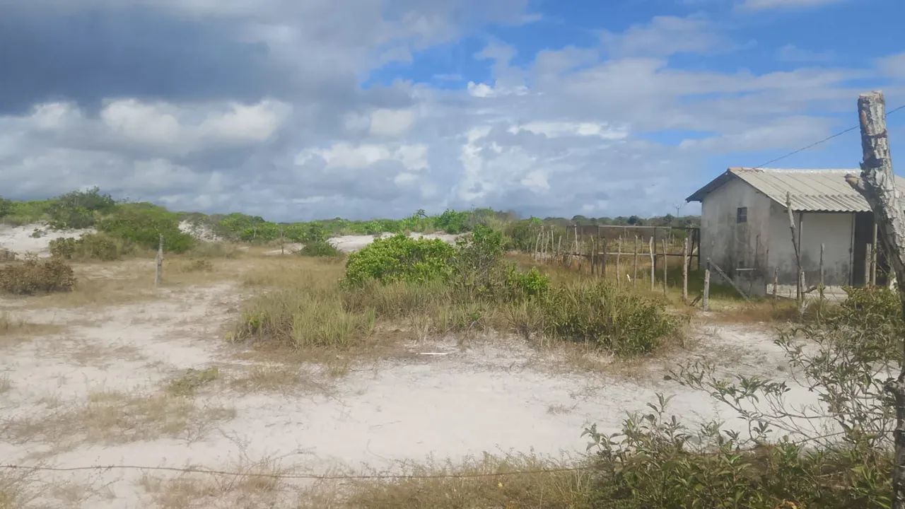 Vendo terreno em crispim  - Foto 4