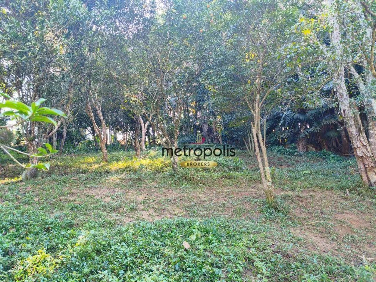 Chácara com 5 dormitórios à venda, 2500 m² - Parque Miami - Santo André/SP - Foto 5