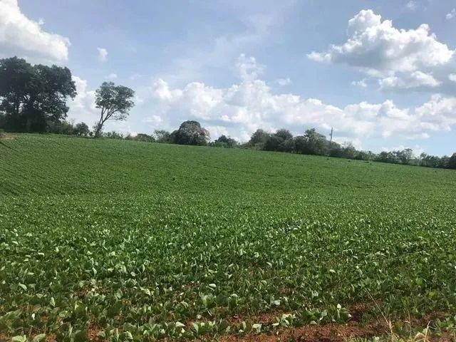 Sítio à venda em Campina do Monte Alegre, Campina de Monte alegre, com 2 quartos, com 1120 - Foto 3