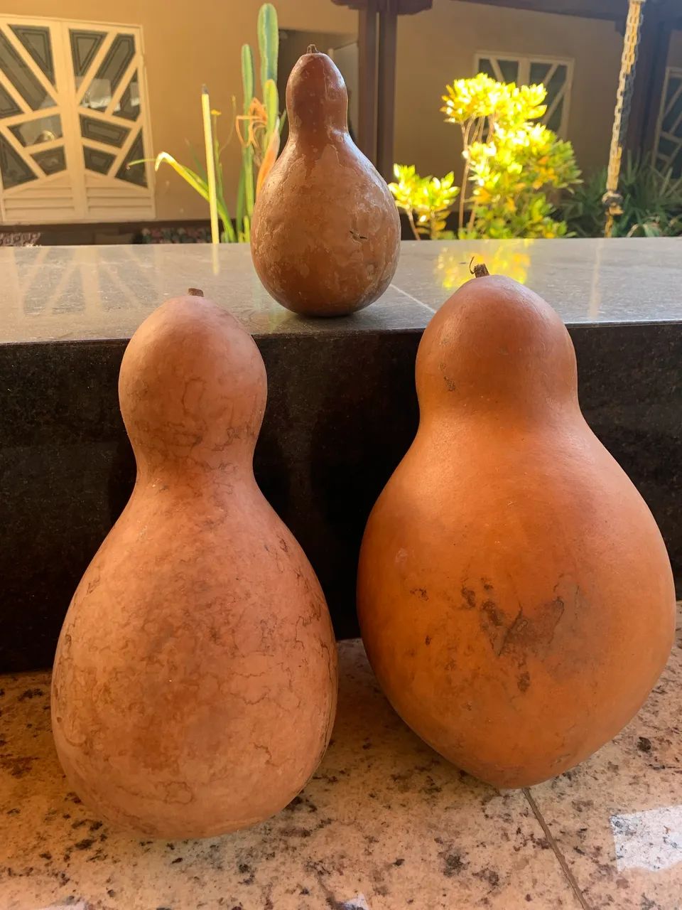 Cabaças  - Foto 2