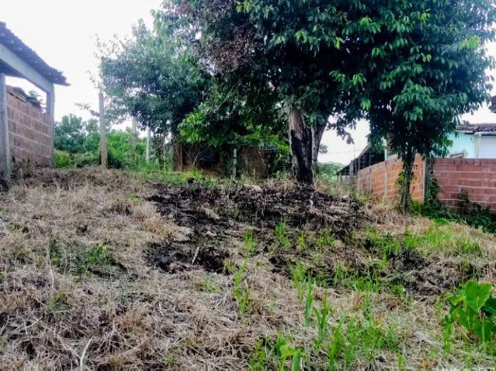 Terreno em Pirapama Cabo de Santo Agostinho PE - Foto 2